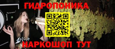 ПСИЛОЦИБИНОВЫЕ ГРИБЫ Балахна