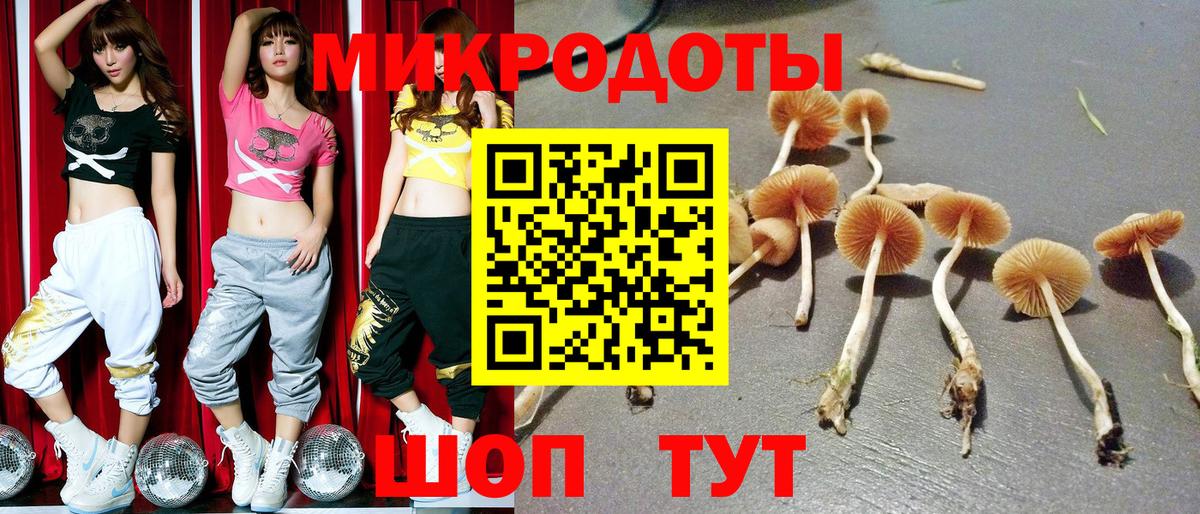 Псилоцибиновые грибы MAGIC MUSHROOMS Екатеринбург