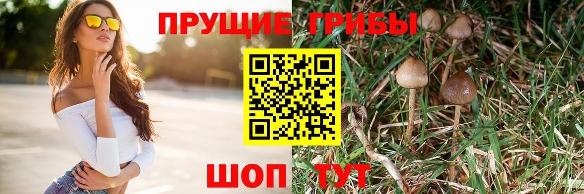 Псилоцибиновые грибы Magic Shrooms  Вход с VPN  продажа наркотиков  Екатеринбург 